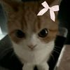 unknown_66902