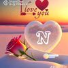 zayan8667