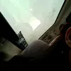 shan_zi4