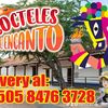 sandravalle046