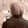ki_zxo7