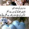 kashifsardar993