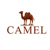CAMEL_outdoor.VN