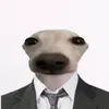 binlahoangtuda_203