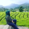 melliseptiani1