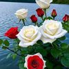 user15851409706315