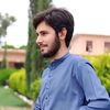 shidashenwari