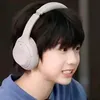 chip_hengg