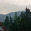 oletoleee
