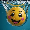 bhem_056