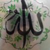 jmsaww8