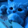 konten_roblox_random3