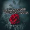 user1127718253917