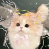 tranlephuongmaii79kk