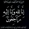 user8741006933618