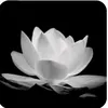user2667102490716