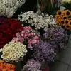betarin_hsn