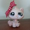 cutiekitty198