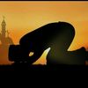 hambah.allah793
