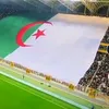 farid.faf78