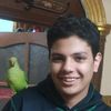 malek_ali1431