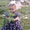 khdra_alymn2