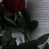user1020738811482
