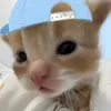 chikenjoy11