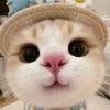 mehu_480