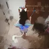 ig_ngoclih