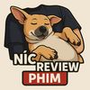 Níc Review Phim