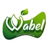 وابل للمقاولات