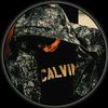 nihat5426