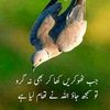 fazal.iqbal545