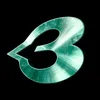 1notdavid