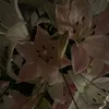 s0phia.pl