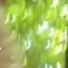 lucaswkto728