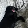 sumi.licious