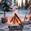 barbecue_sauvage