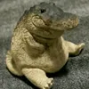 21_sewi_12