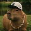 capybaracoconutty