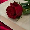 user52020813861064