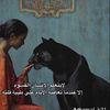 fofo17529