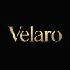 velaro.seikomod
