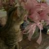 judy_1087