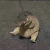 ollie8209