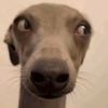 aron.martuahsilae
