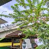 idamanmu080902