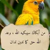 ouafae.wa