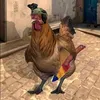 cs__clips